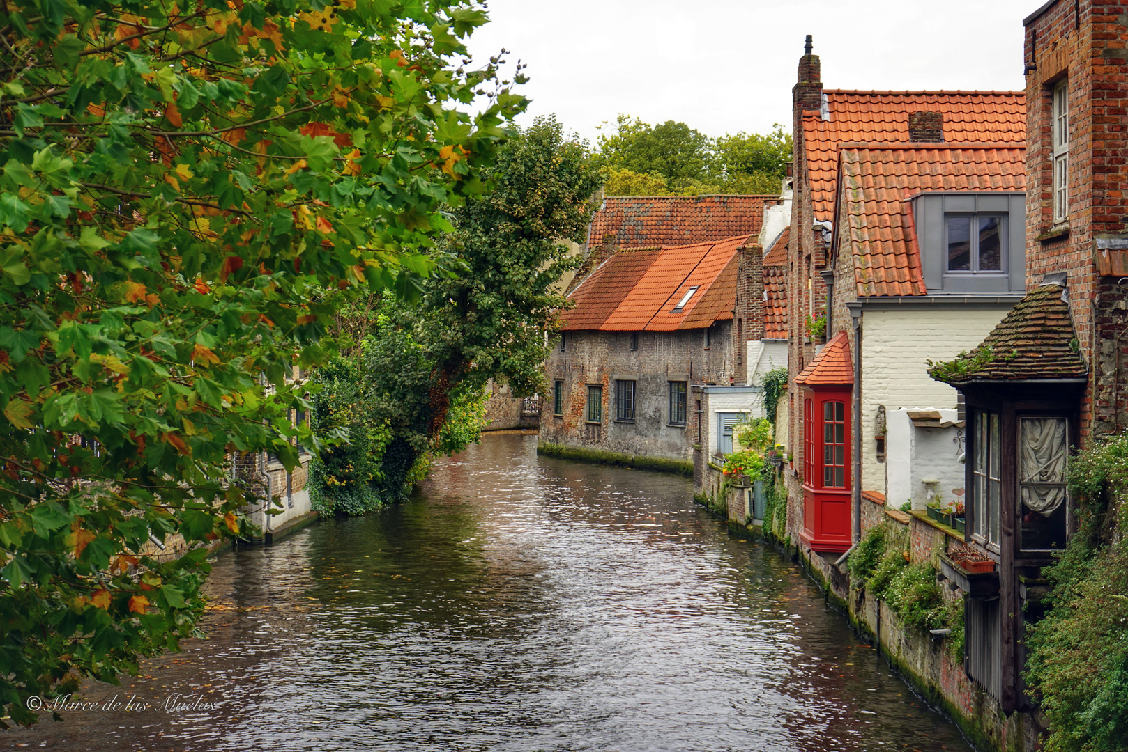 Brujas Belgica