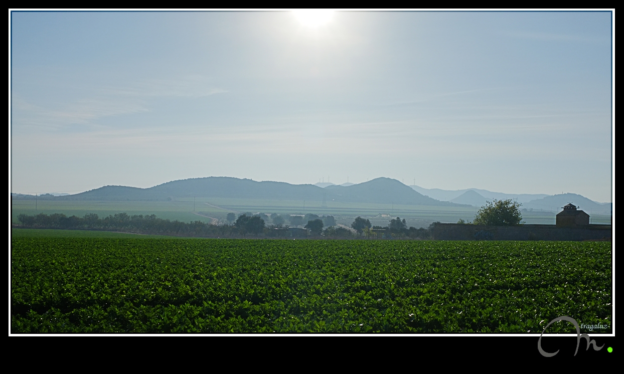 Brumas matinales