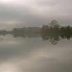 ... brumasse sur la Saône !!!...