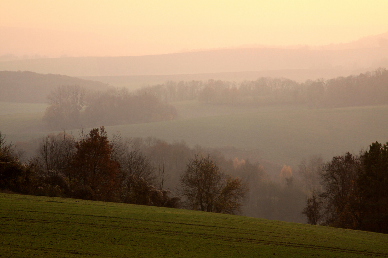 Brume