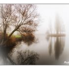 Brume au bord de l'eau