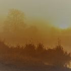 Brume au lever du jour