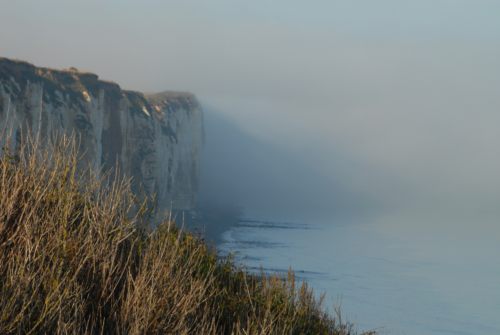 brume au petit matin