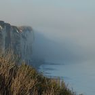 brume au petit matin