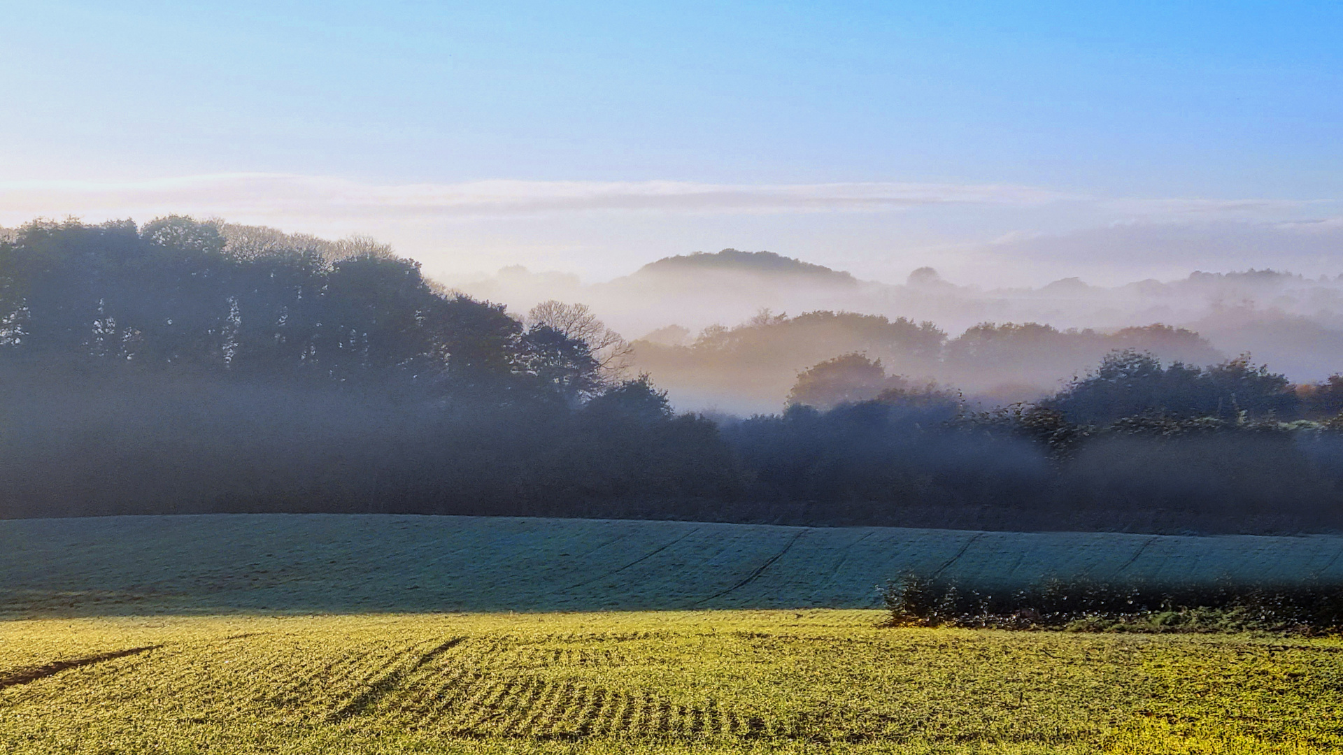 brume au petit matin