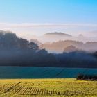 brume au petit matin