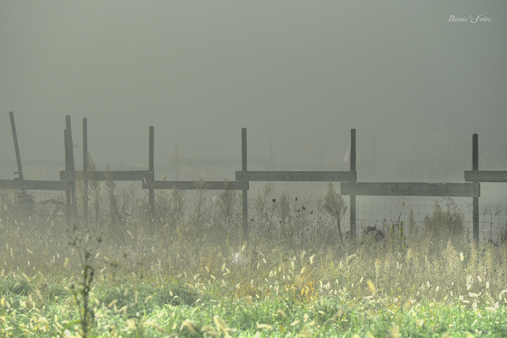 Brume cloisonnée