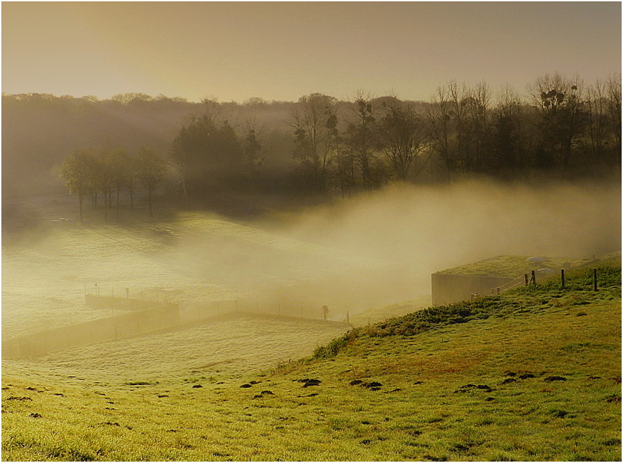 brume photo et image campagne nature paysages Images brume photo et image campagne nature paysages Images
