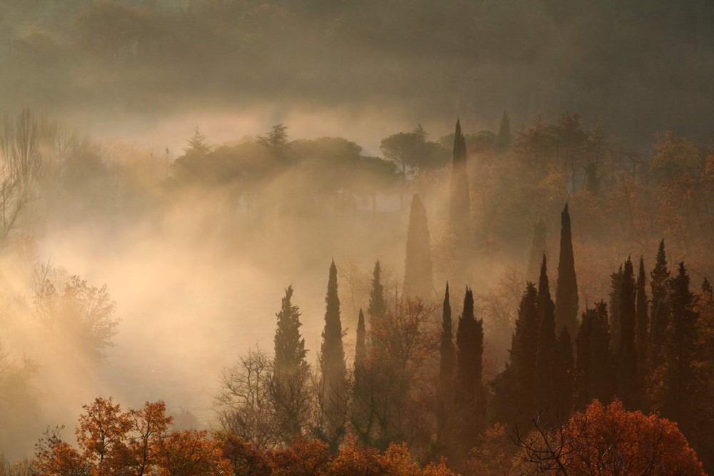 brume dans la Val d'Orcia en Toscane