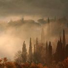 brume dans la Val d'Orcia en Toscane