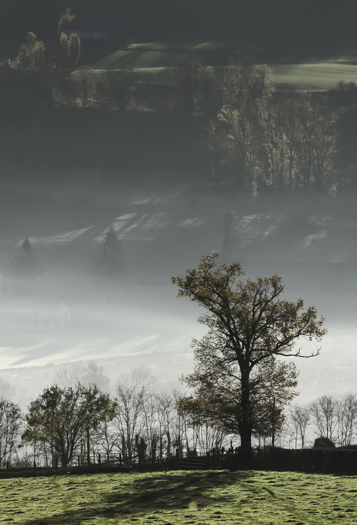 brume dans la vallée