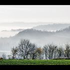 Brume d'automne