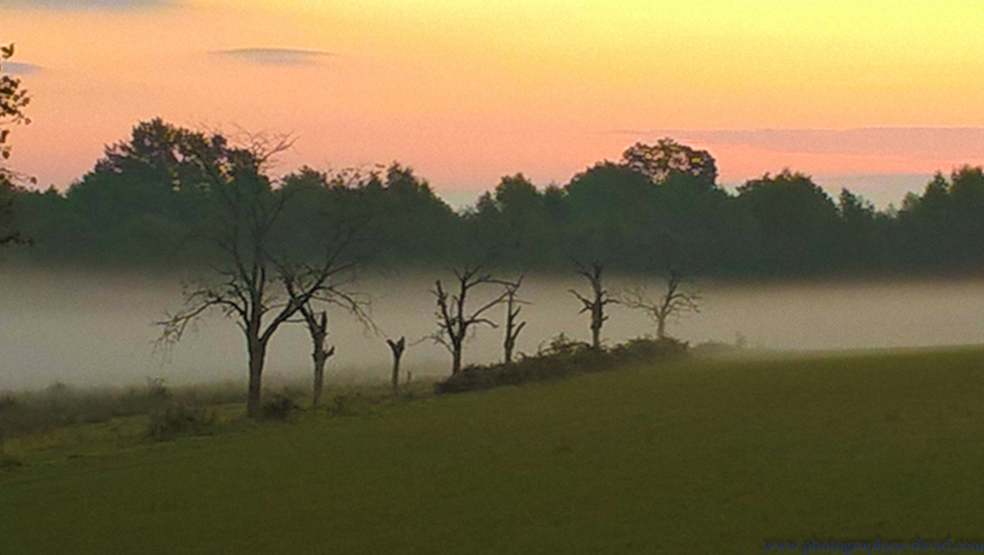 brume de campagne