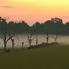 brume de campagne