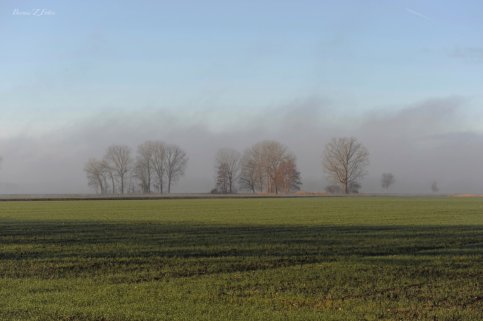 Brume de campagne