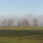 Brume de campagne