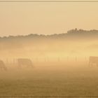 Brume de campagne.