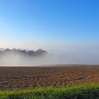 Brume de décembre