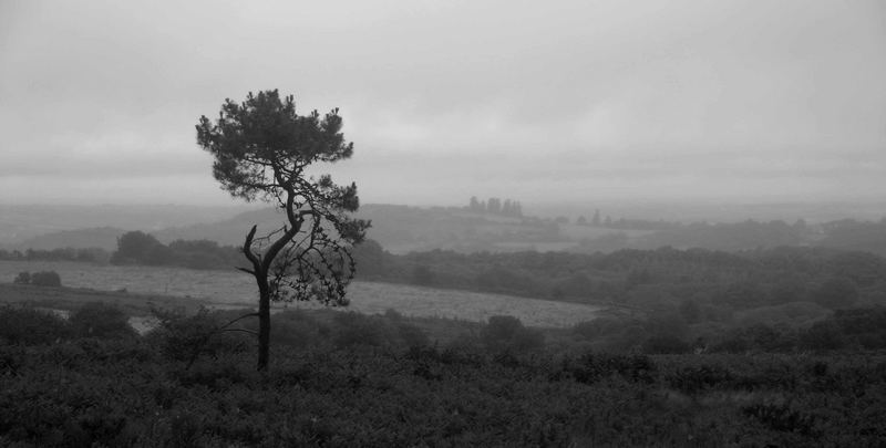 Brume des Monts d'Arrée