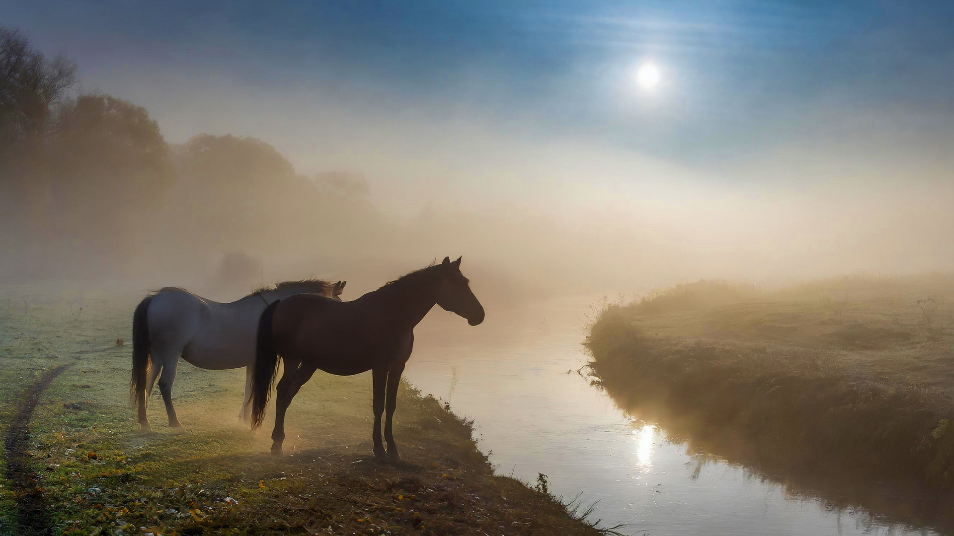 Brume d'été