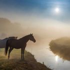 Brume d'été