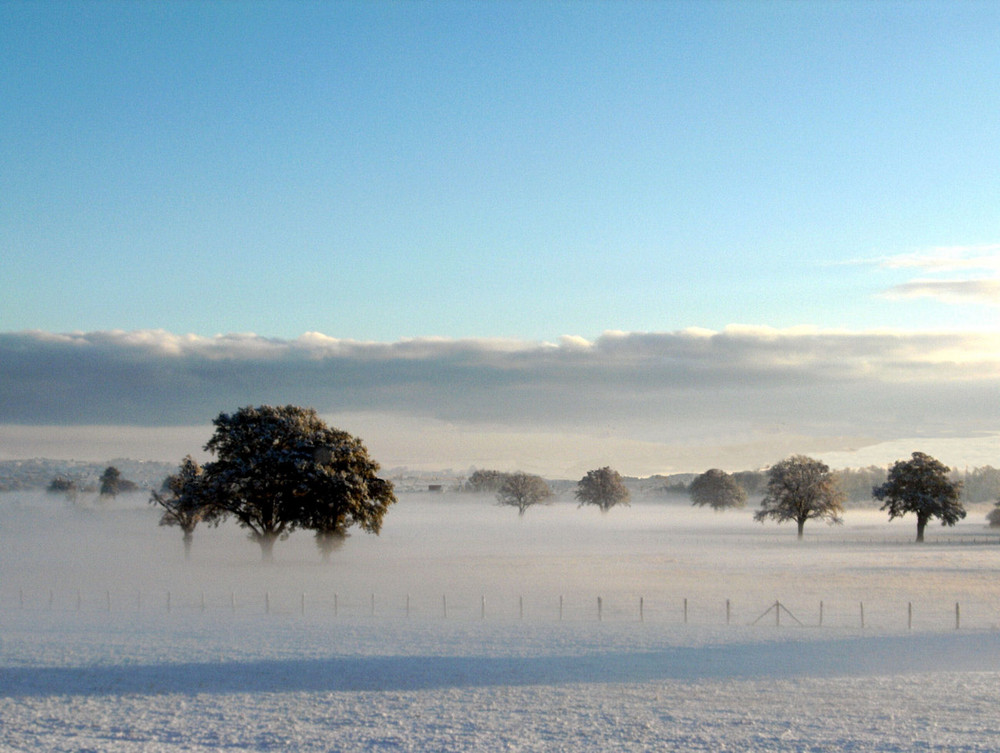 brume d'hiver