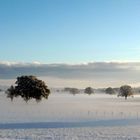 brume d'hiver