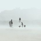 brume d'hiver sur la plage