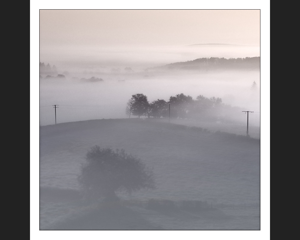 Brume du matin