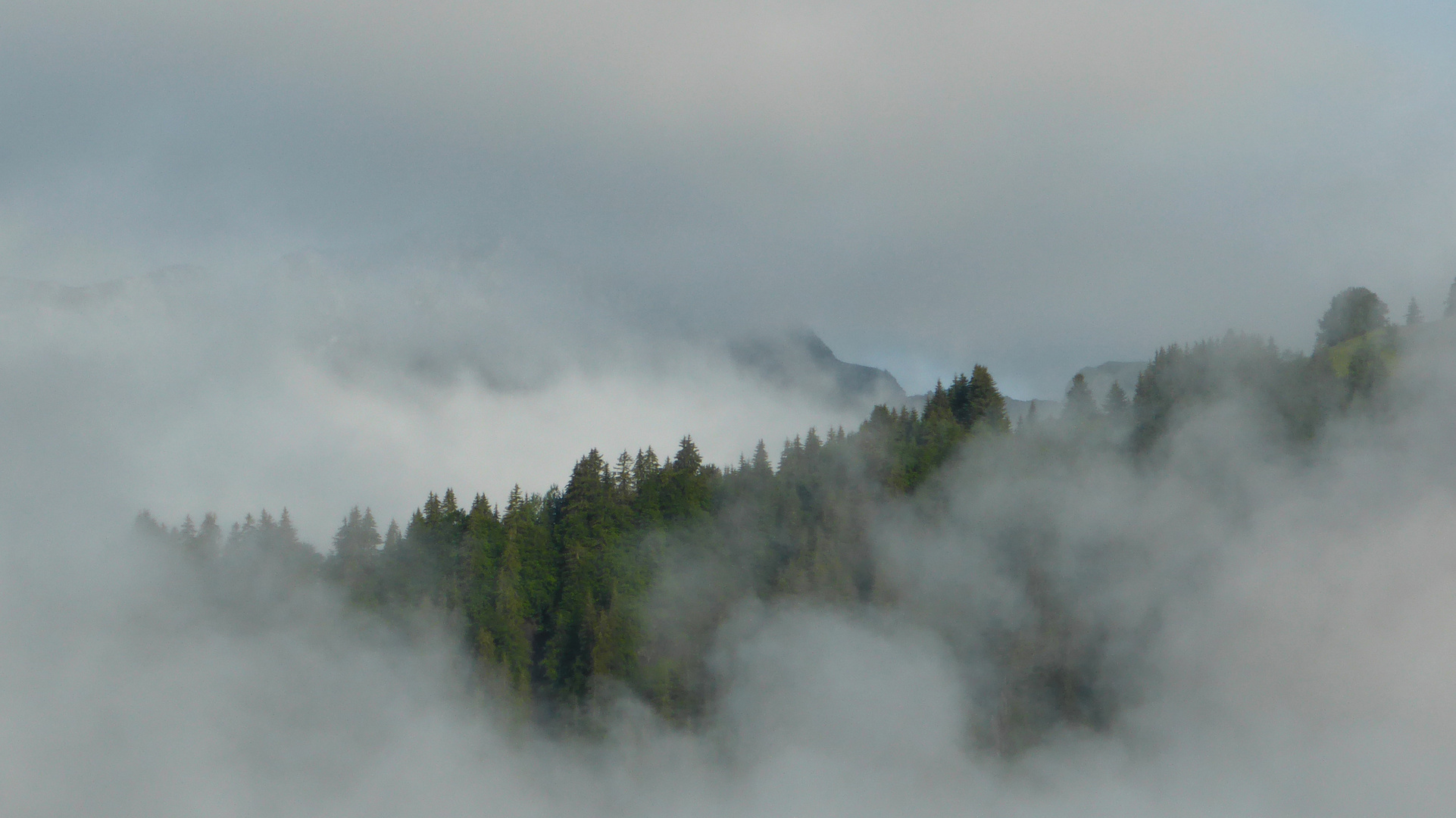 Brume du matin