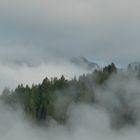 Brume du matin