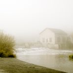 brume du matin