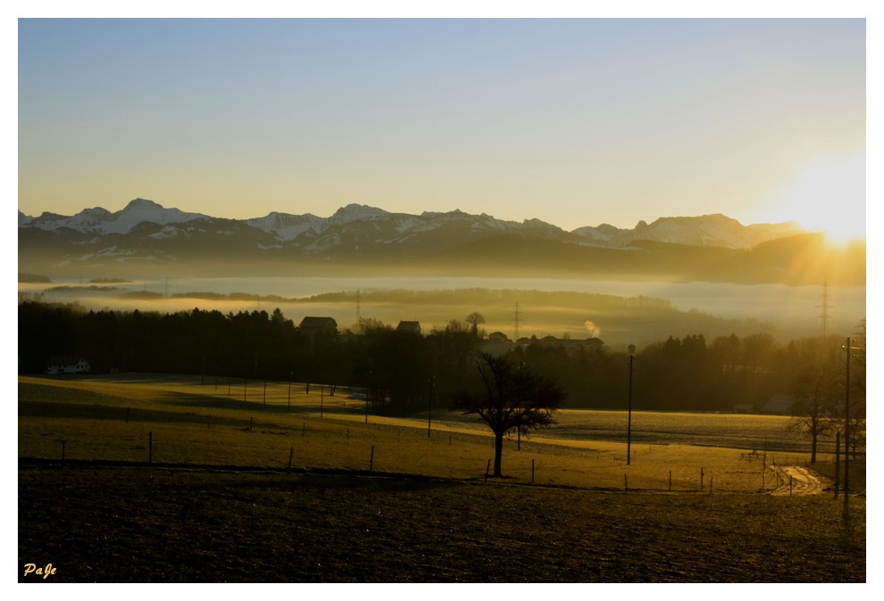 Brume du matin sur la campagne de Savigny