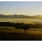 Brume du matin sur la campagne de Savigny