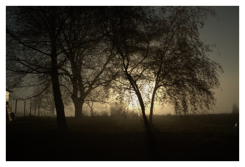 Brume du soir