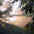 Brume en Quercy