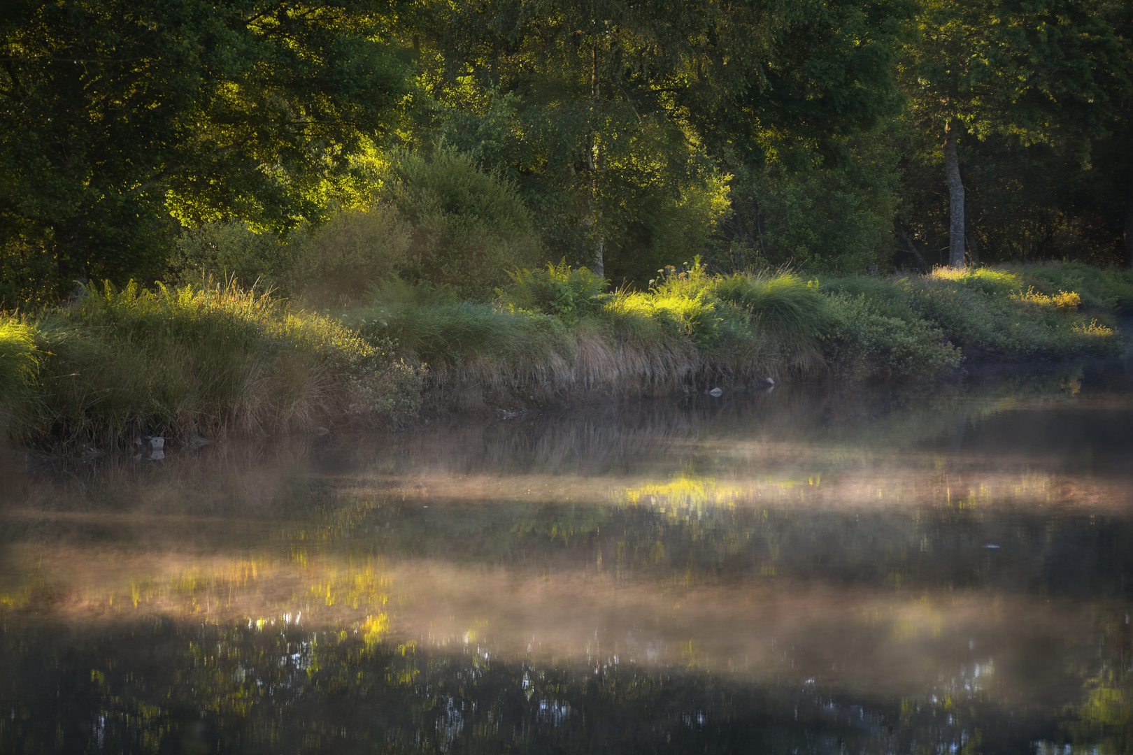 Brume en suspension