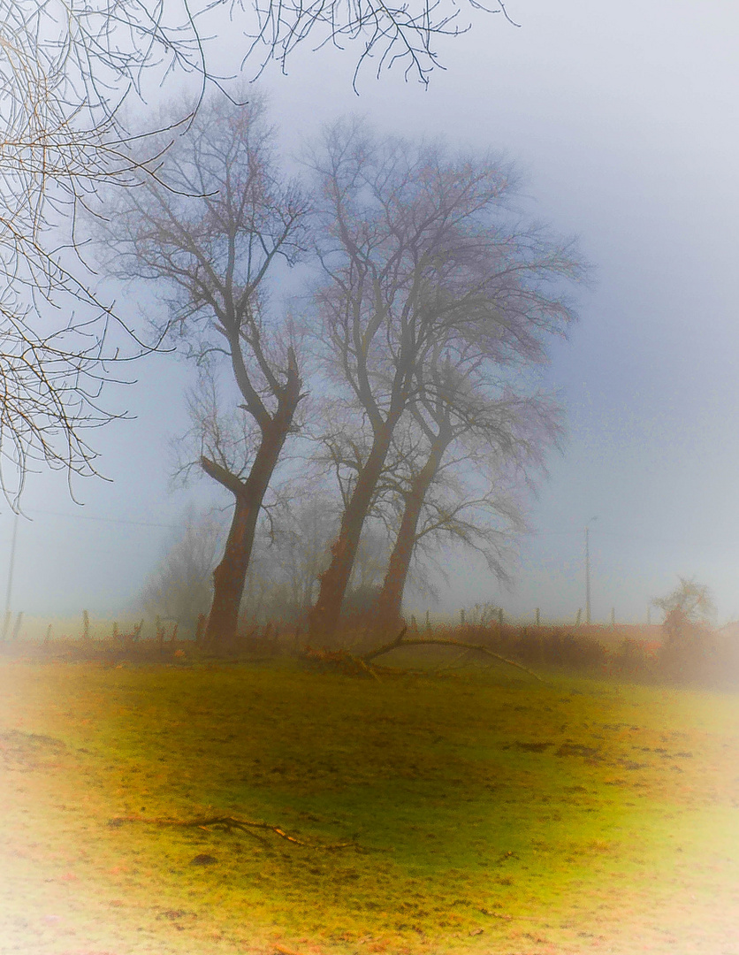 Brume épaisse