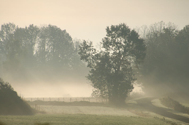 Brume et brouillard