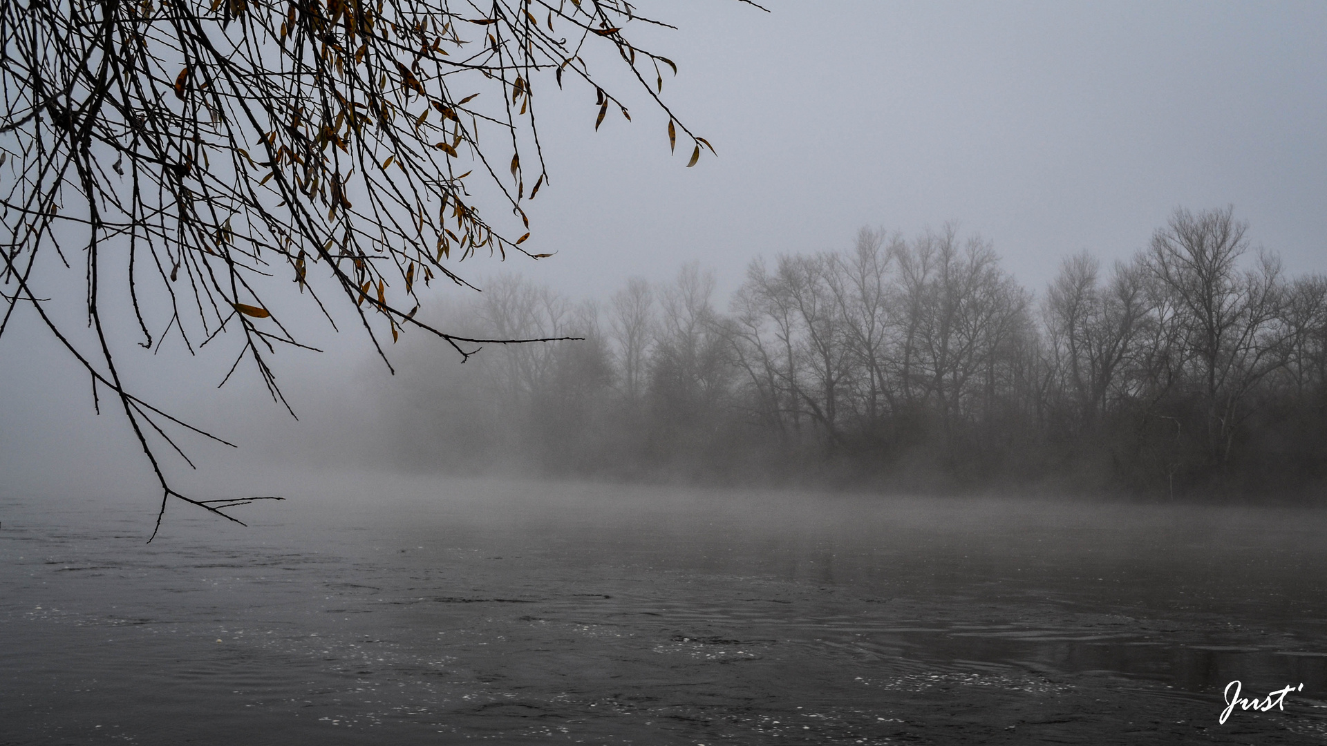 Brume et brouillard sur l'Allier