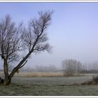 Brume et givre