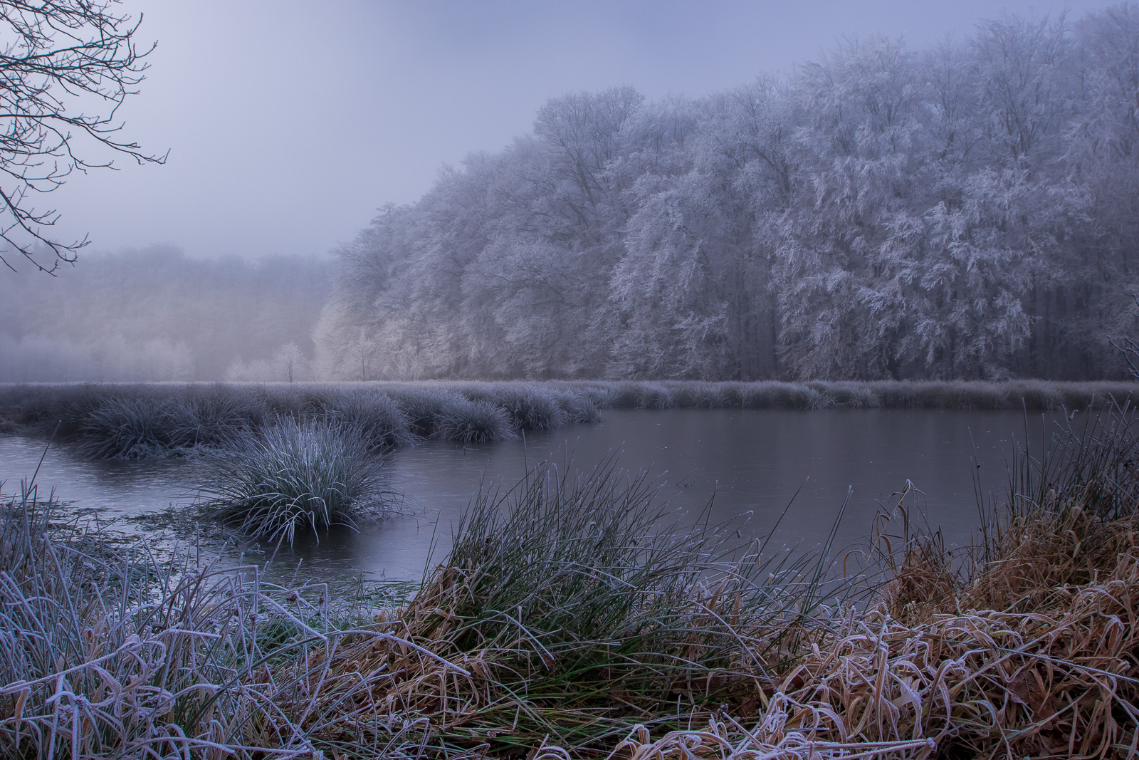 Brume et givre,