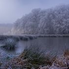 Brume et givre,