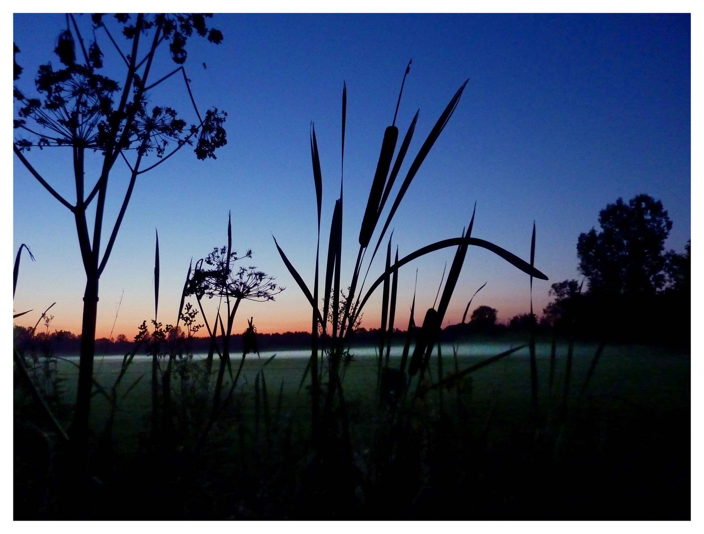 Brume et nuit