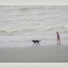 Brume et vent sur la côte d'Opale