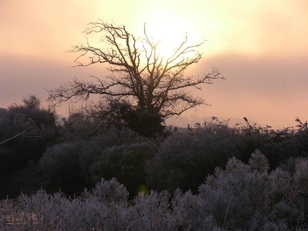 brume givrante et levé du soleil à Andernos