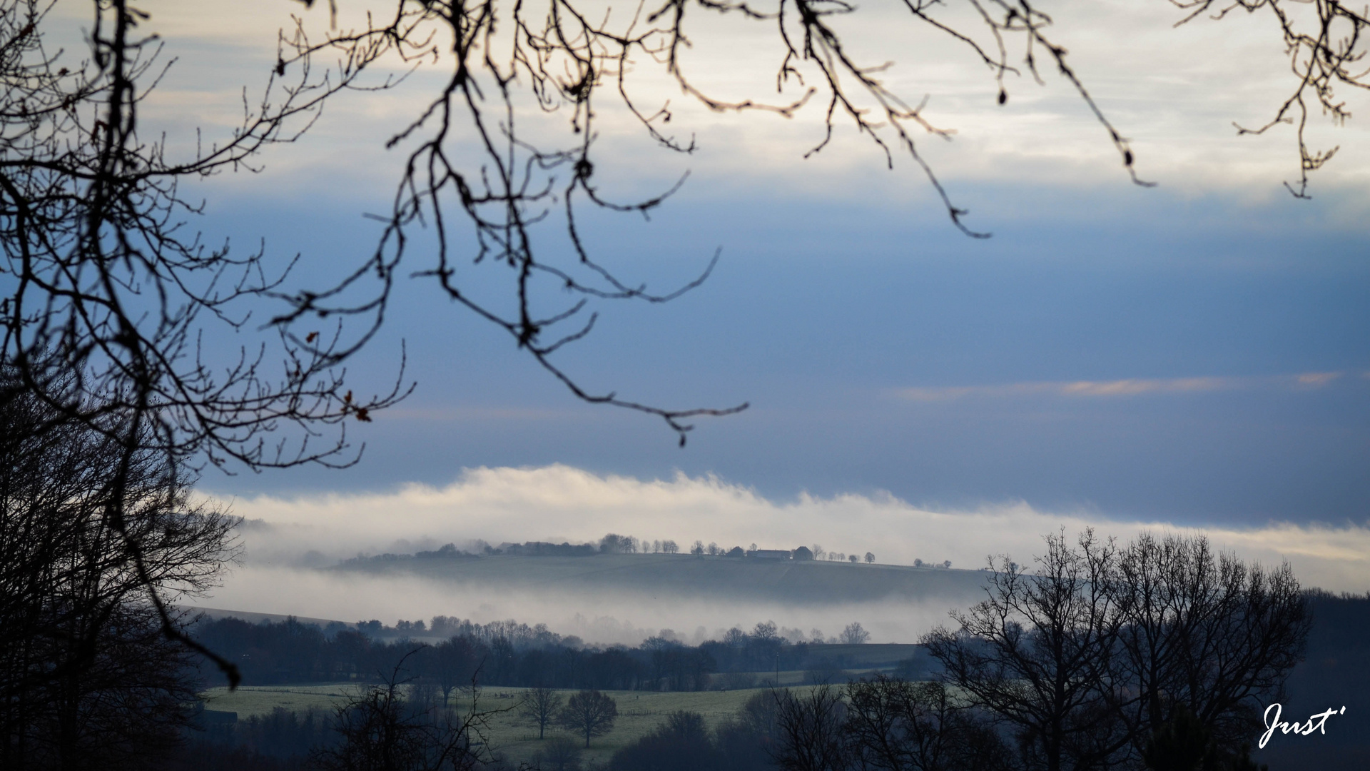 Brume hivernale sur ma campagne berrichone