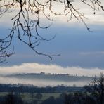 Brume hivernale sur ma campagne berrichone