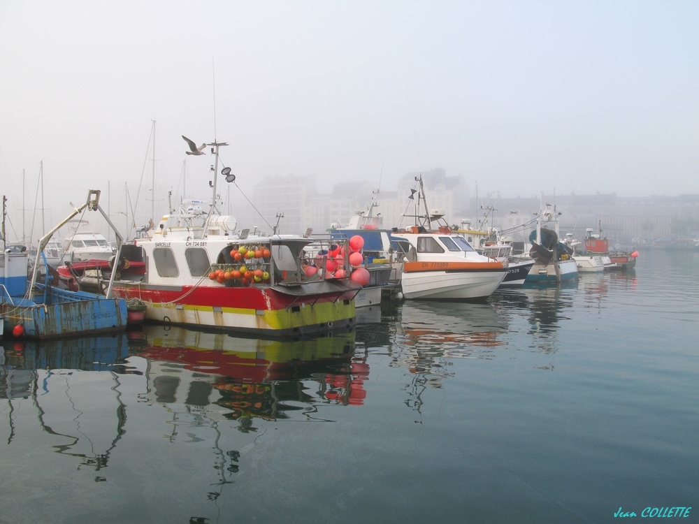 Brume marine.