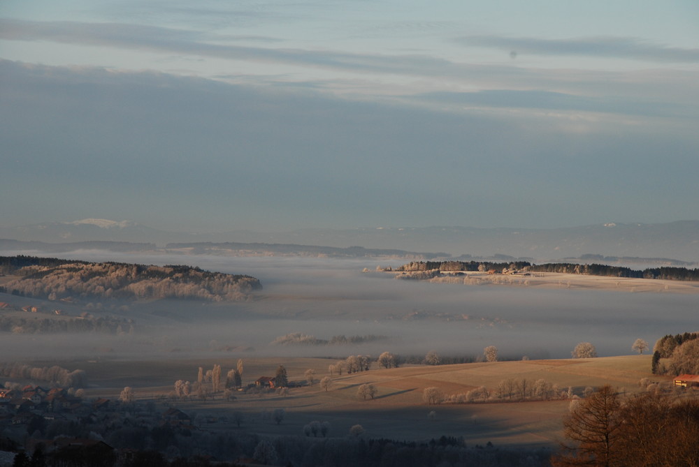 Brume matinale.